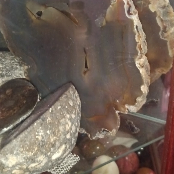 Not For Sale - Picture 10 of 11